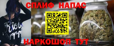 эйфоретик Будённовск