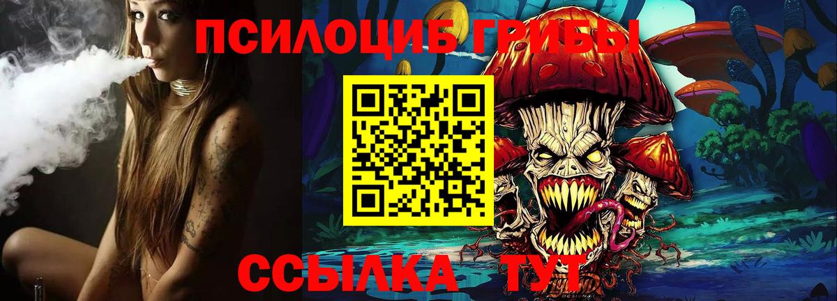 Псилоцибиновые грибы Psilocybine cubensis  Вход с VPN  купить закладку  Нальчик 